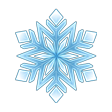 Shining Snowflake