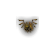 Golden Imp Mask