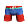 Swimming Trunks